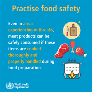 food should be cooked thoroughly and properly
