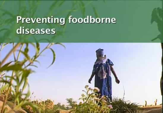 Preventing foodborne disease video thumbnail