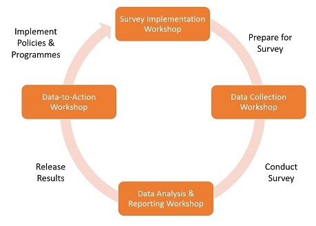 surveillance cycle